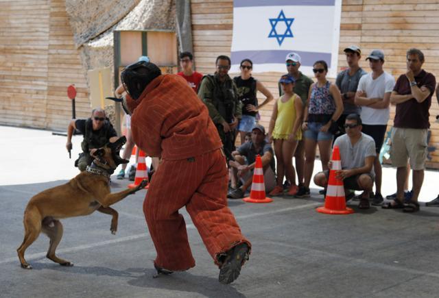 Foreign tourists watch an Israeli instructor demonstrating how to use a dog to neutralise an attacker during a simulation. (AFP Photo) Foreign tourists watch an Israeli instructor demonstrating how to use a dog to neutralise an attacker during a simulation. (AFP Photo)