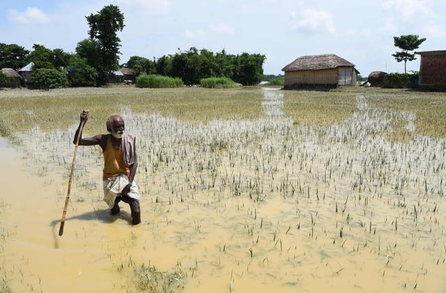 A Nepalese man wades through flood waters across a field close to the village of Tilathi in Saptari district, 450 km southeast of the capital Kathmandu, on August 15, 2017. (AFP)