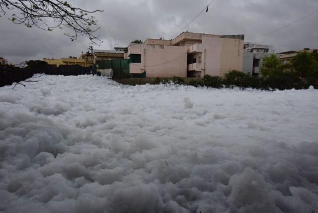 Bengaluru lake froth on streets: Here’s what causes the toxic foam and ...