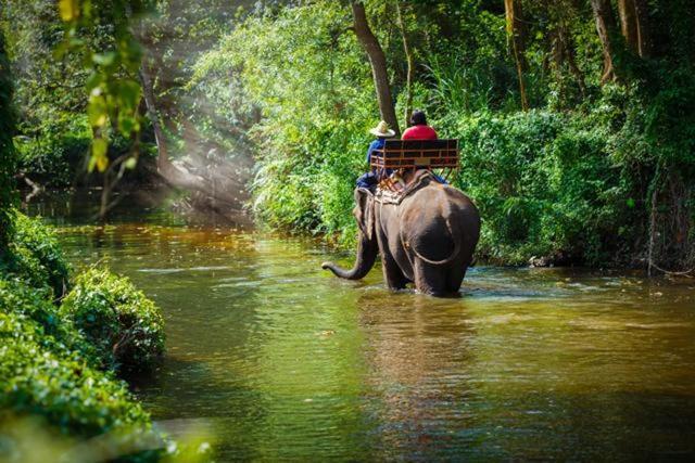 In protected areas, access only the places open to visitors. (HT file photo ) In protected areas, access only the places open to visitors. (HT file photo )