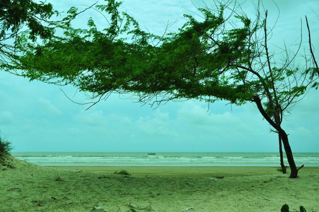 Part of the beach in Digha, the most popular beach resort of West Bengal. (HT Photo)