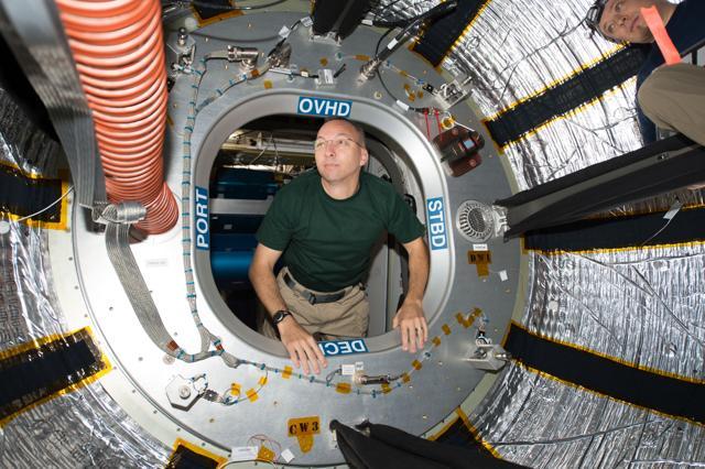 A look inside the International Space Station’s BEAM module. (NASA)