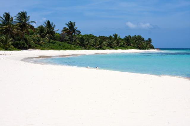The gorgeous white sand filled Flamenco beach on the Puerto Rican island of Culebra. (iStock) The gorgeous white sand filled Flamenco beach on the Puerto Rican island of Culebra. (iStock)