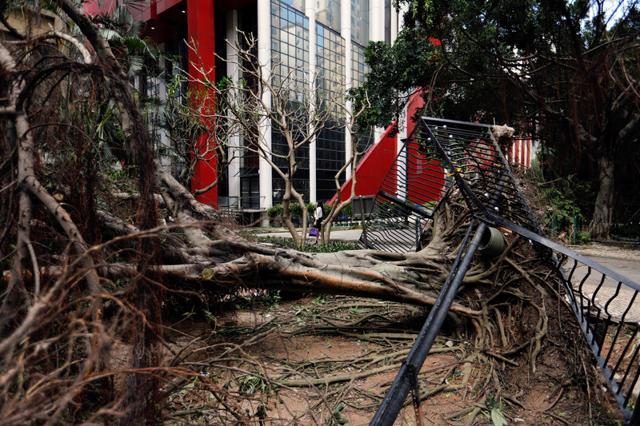 A tree that was uprooted by strong winds from Typhoon Hato is seen in Macau, China August 24, 2017. (REUTERS) A tree that was uprooted by strong winds from Typhoon Hato is seen in Macau, China August 24, 2017. (REUTERS)