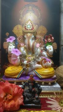 The Phadnis family found a permanent solution by installing a fibre idol. (HT PHOTO) The Phadnis family found a permanent solution by installing a fibre idol. (HT PHOTO)