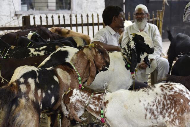 Goat sellers are blaming the slump on demonetisation effected last November and a palpable sense of fear from cow vigilantes. (Virendra Singh Gosain/HT Photo) Goat sellers are blaming the slump on demonetisation effected last November and a palpable sense of fear from cow vigilantes. (Virendra Singh Gosain/HT Photo)