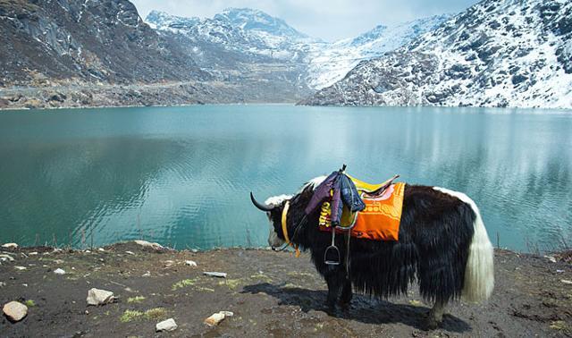 The state of Sikkim, too, has been adversely affected due to the indefinite shutdown since the national highway that connects the state with the rest of the country passes through the bandh-affected areas. (HT Photo) The state of Sikkim, too, has been adversely affected due to the indefinite shutdown since the national highway that connects the state with the rest of the country passes through the bandh-affected areas. (HT Photo)