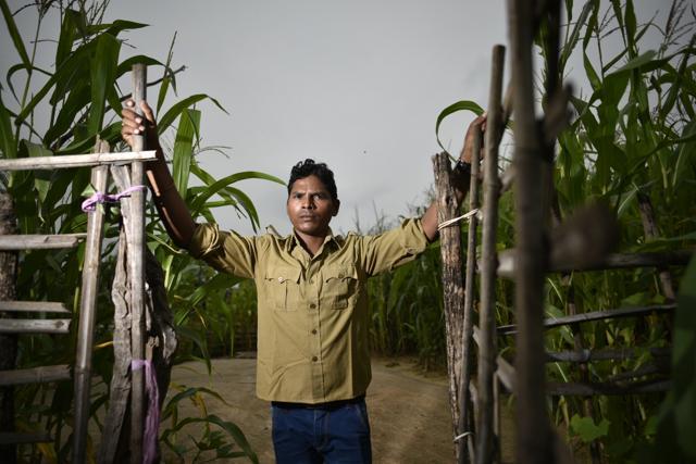 In 2006, Sahendra Jhaara and his family relocated to a Salwa Judum camp in Bijapur. They have not returned to their native village since. He says he could not have been removed from the force for dereliction of duty as he was sincere, disciplined and never took leave. (Ravi Choudhary/HT PHOTO) In 2006, Sahendra Jhaara and his family relocated to a Salwa Judum camp in Bijapur. They have not returned to their native village since. He says he could not have been removed from the force for dereliction of duty as he was sincere, disciplined and never took leave. (Ravi Choudhary/HT PHOTO)
