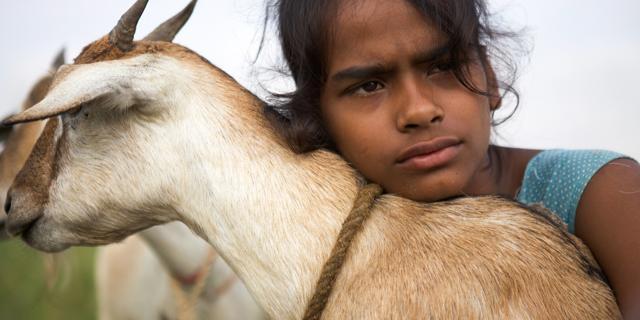 A still from Rima Das’ film Village Rockstars which will have its world premiere at TIFF (Courtesy TIFF) A still from Rima Das’ film Village Rockstars which will have its world premiere at TIFF (Courtesy TIFF)