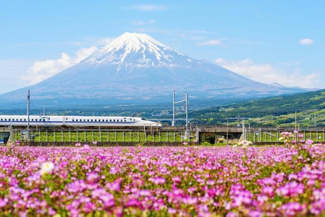 Shinkansen crosses Mount Fuji, a sight that has come to be associated with an infusion of Japanese development and its vibrant culture. (Shutterstock) Shinkansen crosses Mount Fuji, a sight that has come to be associated with an infusion of Japanese development and its vibrant culture. (Shutterstock)