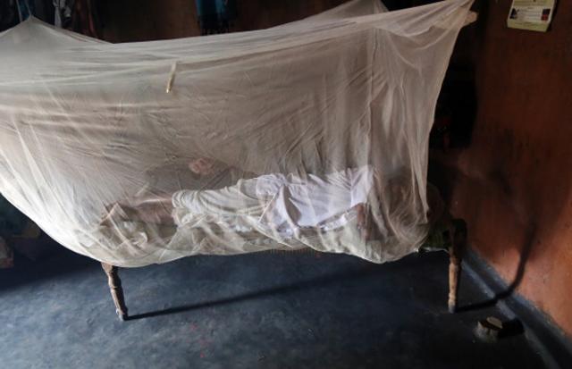 A villager in Budabirmaha, Kandhamal in the long lasting insecticidal net that has been given to him. (IndiaSpend) A villager in Budabirmaha, Kandhamal in the long lasting insecticidal net that has been given to him. (IndiaSpend)