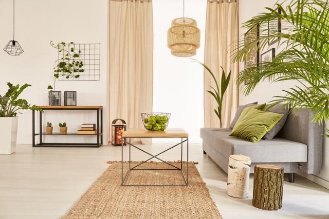 Indoor plants add that pop of green and instantly brighten your home. (Shutterstock) Indoor plants add that pop of green and instantly brighten your home. (Shutterstock)