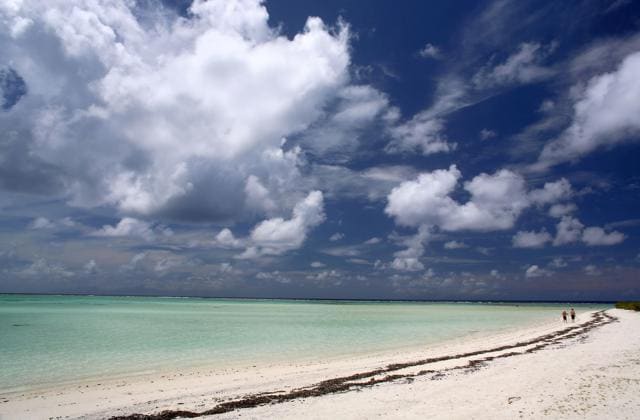 The beach near the Brando. (Gregory Boissy/AFP) The beach near the Brando. (Gregory Boissy/AFP)