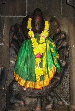 Shirkai Devi of Raigad. (HT PHOTO) Shirkai Devi of Raigad. (HT PHOTO)