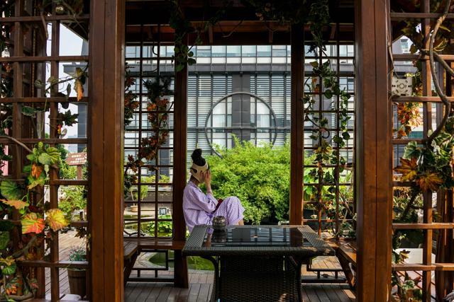 In this photograph taken on August 17, 2017, a woman wearing a bandage on her head sits at the roof garden inside Huamei Medical Cosmetology Hospital in Shanghai. (AFP) In this photograph taken on August 17, 2017, a woman wearing a bandage on her head sits at the roof garden inside Huamei Medical Cosmetology Hospital in Shanghai. (AFP)