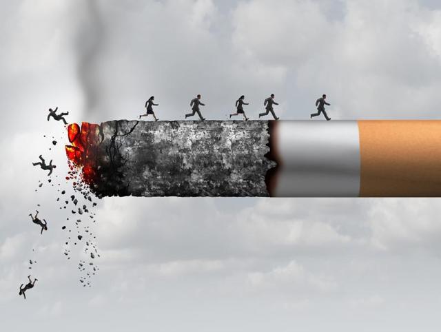 Within two years of quitting the risk of CVD is significantly reduced, and within 15 years it returns to that of a non-smoker. (Shutterstock)