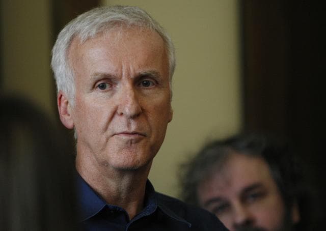 James Cameron told Britain's The Guardian newspaper for an article published online on Aug. 24, 2017, that Hollywood's praise of Patty Jenkins' film Wonder Woman is "misguided" because the character is "an objectified icon." (AP) James Cameron told Britain's The Guardian newspaper for an article published online on Aug. 24, 2017, that Hollywood's praise of Patty Jenkins' film Wonder Woman is "misguided" because the character is "an objectified icon." (AP)