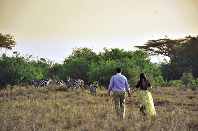 Being clicked with striped zebras and African elephants gave Reema and Imran an unforgettable photo album (Wedding Nama) Being clicked with striped zebras and African elephants gave Reema and Imran an unforgettable photo album (Wedding Nama)