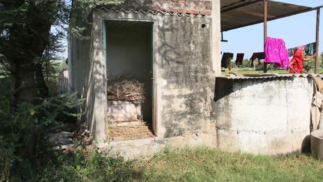 This toilet at a village in the outskirts of Jaipur is being used to store fodder. (Himanshu Vyas/HT Photo) This toilet at a village in the outskirts of Jaipur is being used to store fodder. (Himanshu Vyas/HT Photo)