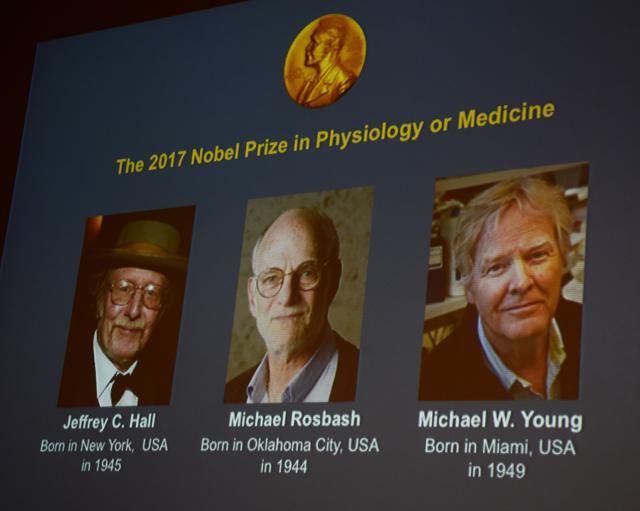 Winners of the 2017 Nobel Prize in Physiology or Medicine Jeffrey C Hall, Michael Rosbash and Michael W Young. (AFP Photo)