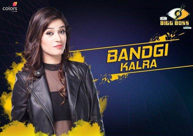 Bigg Boss 11: Here's a primer all 18 contestants of the new season - Hindustan Times