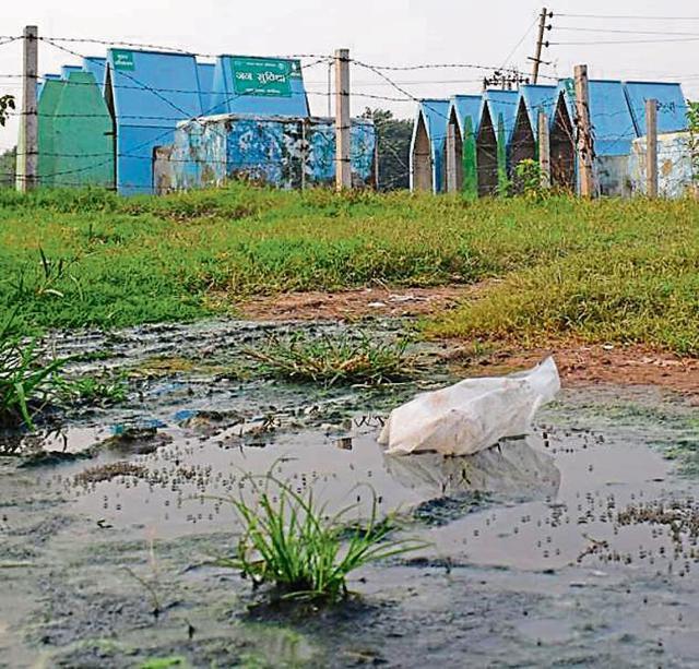 Poor sanitation near public toilets. (Sikander Singh/HT)