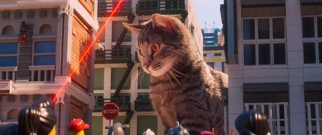 Even the cat isn’t cute.