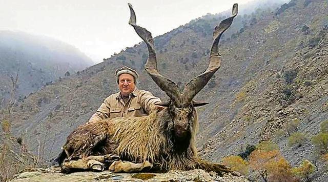 An Astore markhore shot by Texas hunter, Fred Rich, in 2016, Gilgit-Baltistan, with horns 49.5 inches long. (Courtesy: NATIONAL PARKS OF PAKISTAN) An Astore markhore shot by Texas hunter, Fred Rich, in 2016, Gilgit-Baltistan, with horns 49.5 inches long. (Courtesy: NATIONAL PARKS OF PAKISTAN)