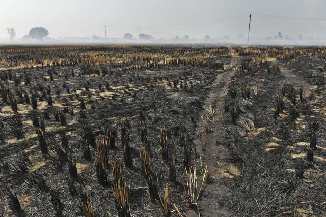 Farmers resort to burning as a quick fix in the absence of better means and resources to deal with agricultural stubble. (Burhaan Kinu/HT PHOTO) Farmers resort to burning as a quick fix in the absence of better means and resources to deal with agricultural stubble. (Burhaan Kinu/HT PHOTO)