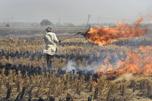 Studies show stubble burning contributes anywhere between 12% and 60% to Delhi’s pollution load during this time of the year, depending on wind direction and speed. (Burhaan Kinu/HT PHOTO) Studies show stubble burning contributes anywhere between 12% and 60% to Delhi’s pollution load during this time of the year, depending on wind direction and speed. (Burhaan Kinu/HT PHOTO)