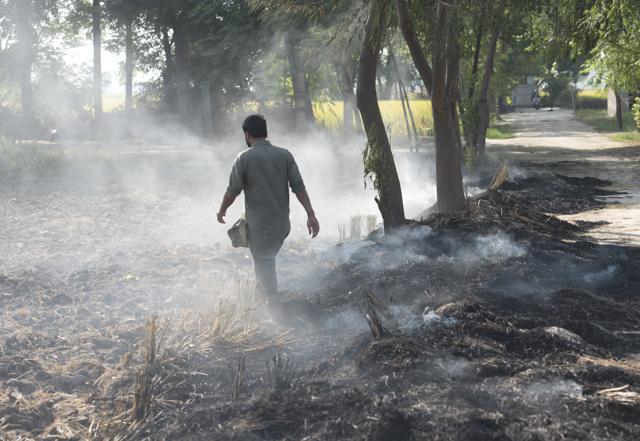 Punjab’s farmers have demanded Rs 300 per quintal for not burning paddy stubble, besides subsidy on machines such as happy seeders and shredders. (Sanchit Khanna/HT PHOTO) Punjab’s farmers have demanded Rs 300 per quintal for not burning paddy stubble, besides subsidy on machines such as happy seeders and shredders. (Sanchit Khanna/HT PHOTO)