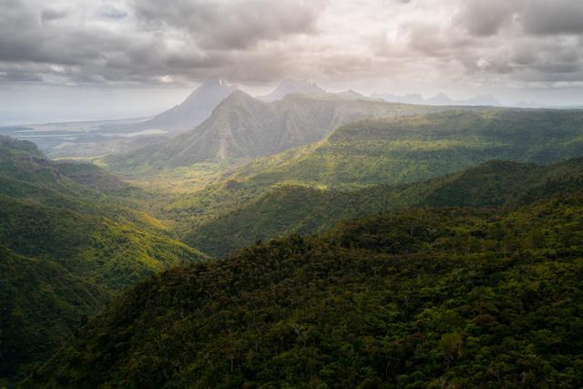 The Black River Gorges National Park covers over 6,500 hectares. (Shutterstock) The Black River Gorges National Park covers over 6,500 hectares. (Shutterstock)