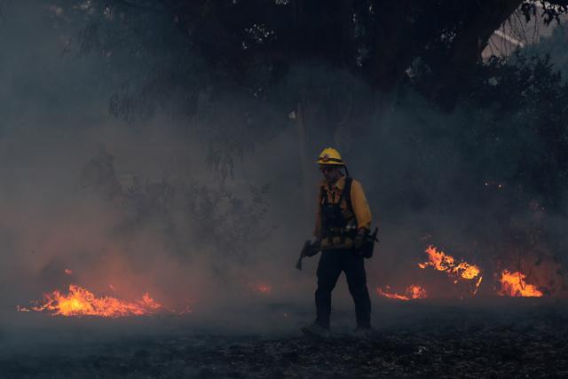 A firefighter works to put out hot spots on a fast moving wind driven wildfire in Orange, California, U.S., October 9, 2017. (REUTERS) A firefighter works to put out hot spots on a fast moving wind driven wildfire in Orange, California, U.S., October 9, 2017. (REUTERS)