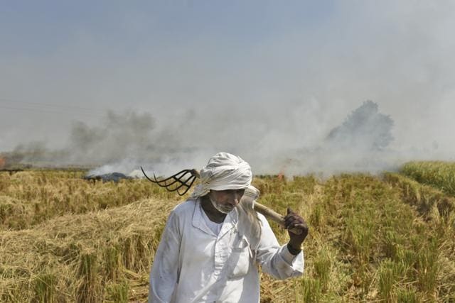 With cost concerns, the short gap between summer and winter crops, lack of incentives from the government and shortage of equipment, most farmers resort to residue burning. (Burhaan Kinu/HT PHOTO) With cost concerns, the short gap between summer and winter crops, lack of incentives from the government and shortage of equipment, most farmers resort to residue burning. (Burhaan Kinu/HT PHOTO)