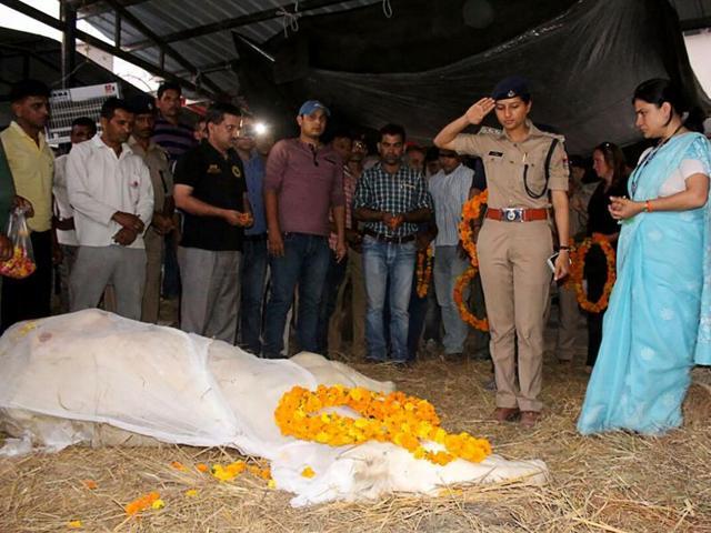 An Indian police officer salutes the body of police horse 'Shaktiman' in Dehradun on April 21, 2016. (AFP) An Indian police officer salutes the body of police horse 'Shaktiman' in Dehradun on April 21, 2016. (AFP)