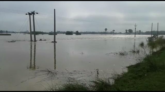 Part of Barwan in Bengal’s Murshidababd district. (Sreyasi Pal/ HT Photo) Part of Barwan in Bengal’s Murshidababd district. (Sreyasi Pal/ HT Photo)