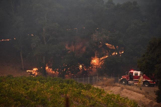 Firefighters protect a vineyard in Santa Rosa, California, October 11, 2017 as the toll from Northern California wildfires continues to grow. (AFP) Firefighters protect a vineyard in Santa Rosa, California, October 11, 2017 as the toll from Northern California wildfires continues to grow. (AFP)