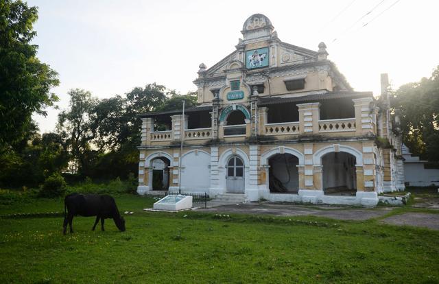 A cow stands next to the dairy farm. (AFP) A cow stands next to the dairy farm. (AFP)