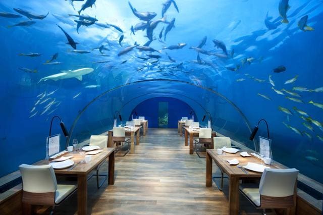 The Ithaa Undersea Restaurant at Conrad Maldives Rangali Island makes for some splendid photos. (Courtesy Conrad Hotels &amp; Resorts)