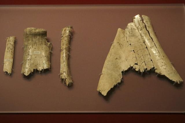Chinese Oracle bones, the oldest dateable items in the British Library's collection from 1192 BC, on display at the exhibition. (AP) Chinese Oracle bones, the oldest dateable items in the British Library's collection from 1192 BC, on display at the exhibition. (AP)