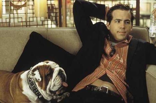 Reynolds as Van Wilder (2002). He played the most popular kid on campus who meets a beautiful journalist who makes him realize that maybe he’s afraid to graduate.