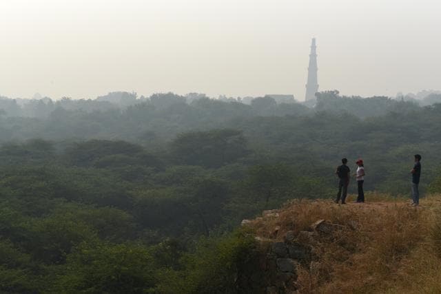 Sanjay Van is near the iconic Qutub Minar. (Sanchit Khanna/HT PHOTO) Sanjay Van is near the iconic Qutub Minar. (Sanchit Khanna/HT PHOTO)
