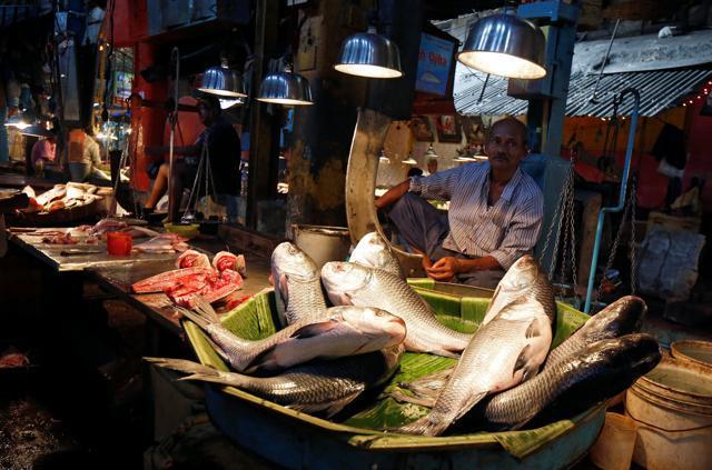 File picture. The presence of lead in samples of fish was found to vary approximately between 5 to 71 times higher than the permissible limits in adults and 26 to 356 times the limit suitable for children. (HT Photo) File picture. The presence of lead in samples of fish was found to vary approximately between 5 to 71 times higher than the permissible limits in adults and 26 to 356 times the limit suitable for children. (HT Photo)