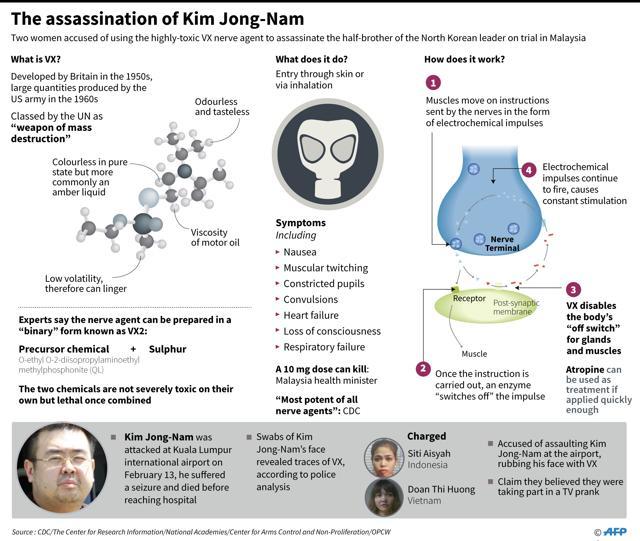 Factfile on the assassination of the half-brother of North Korea's leader in February, in which two women are accused of allegedly poisoning him with the lethal nerve agent VX. (AFP) Factfile on the assassination of the half-brother of North Korea's leader in February, in which two women are accused of allegedly poisoning him with the lethal nerve agent VX. (AFP)