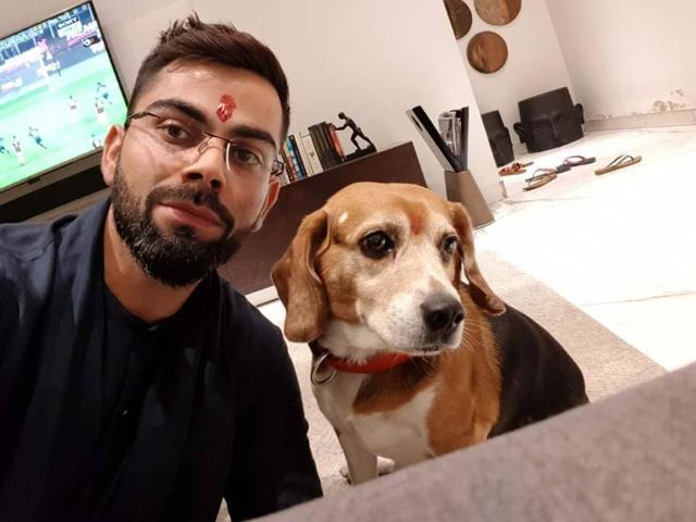 Virat posted this picture with his beagle on Diwali on his Twitter account (Twitter/Virat Kohli) Virat posted this picture with his beagle on Diwali on his Twitter account (Twitter/Virat Kohli)
