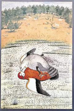 Nainsukh’s painting of a hawk hunting a shelduck, c. 1735-’40. (Photo: SIR COWASJEE JAHANGIR COLLECTION, MUMBAI) Nainsukh’s painting of a hawk hunting a shelduck, c. 1735-’40. (Photo: SIR COWASJEE JAHANGIR COLLECTION, MUMBAI)