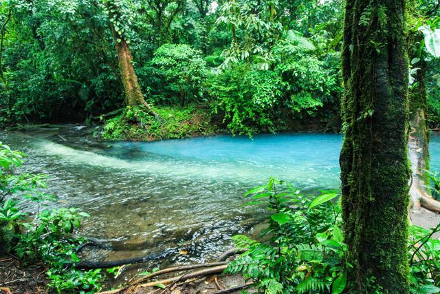 Costa Rica features volcanoes, tropical forests, botanical gardens, stunning river valleys, and hundreds of beaches on the Pacific and Caribbean. (Shutterstock)
