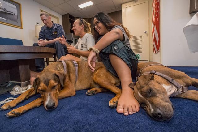 A handout photo released by the US Navy shows American mariners Jennifer Appel (centre) and Tasha Fuiava (right) answering questions to USS Ashland (LSD 48) Commanding Officer Steven Wasson (left) during a media call with their dogs Zeus (bottom-R) and Valentine (bottom-L) in the captain’s cabin of the amphibious dock landing ship USS Ashland. (AFP Photo)