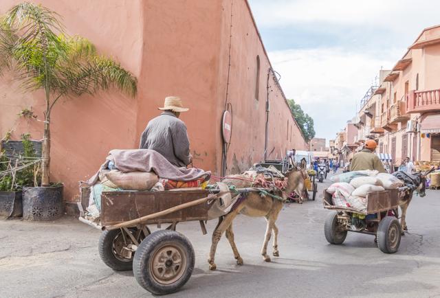 Donkey powered carts in old Jewish quarter. (Shutterstock)