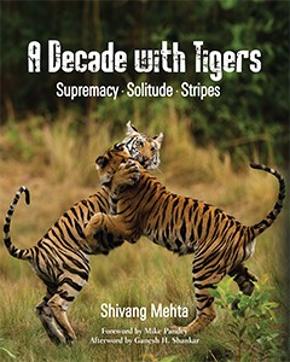 Rs 1750, 360pp, Niyogi Books.